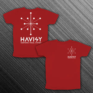 Camiseta HAVISY (2 caras)